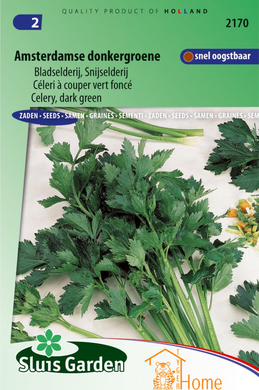Amsterdamse Donkergroene Bladselderij Snijselderij Zaden: Kweek heerlijke, aromatische selderij in je eigen tuin. Grow delicious, aromatic leaf celery for flavorful dishes. Cultivez du céleri à couper vert foncé et savoureux pour des plats riches en goût