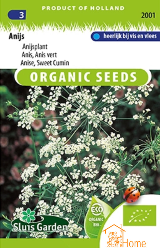 Anijsplant Zaden: Kweek heerlijke, aromatische anijs in je eigen tuin. Grow delicious, aromatic anise for flavorful dishes and teas. Cultivez de l'anis savoureux et aromatique pour des plats et infusions parfumés.