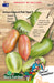 Artisan Green & Pink Tiger Tomaat Zaden: Kweek heerlijke, kleurrijke tomaten in je eigen tuin. Grow delicious, colorful tomatoes for vibrant dishes. Cultivez des tomates savoureuses et colorées dans votre jardin