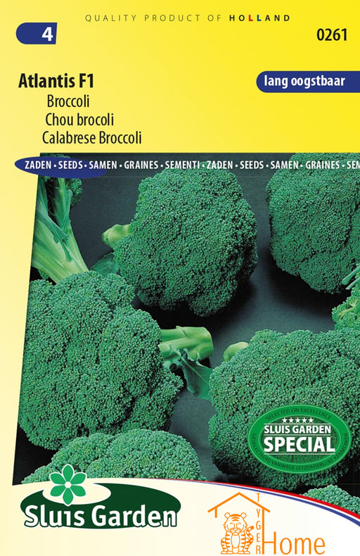Atlantis F1 Broccoli Zaden: Kweek voedzame, heerlijke en knapperige broccoli in je eigen tuin. Ideaal voor gezonde en smaakvolle gerechten.