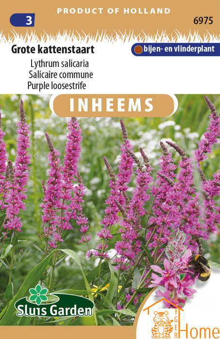 Grote Kattenstaart Zaden: Een statige plant met prachtige roze bloemen die bijen en vlinders aantrekt. Perfect voor een kleurrijke en biodiverse tuin