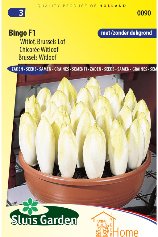 Bingo F1 Witlof Brussels Lof Zaden voor het kweken van voedzame, heerlijke en knapperige witlof in je eigen tuin. Ideaal voor frisse salades en gezonde maaltijden.