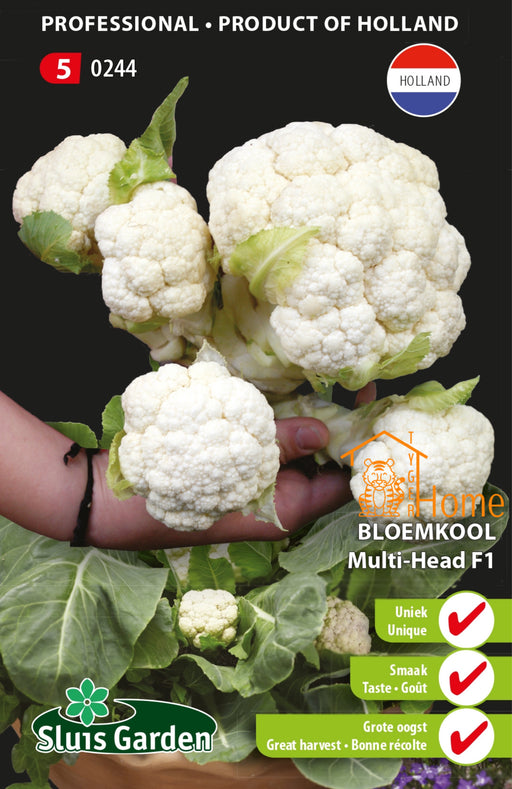 Bloemkool Multi Head F1 Zaden: Kweek een rijke, voedzame en smaakvolle oogst. Perfect voor gezonde maaltijden en veelzijdige gerechten.