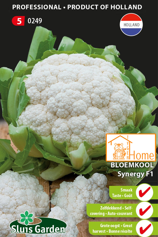 Bloemkool Synergy F1 Zaden: Kweek voedzame, heerlijke en veelzijdige bloemkool in je eigen tuin. Ideaal voor gezonde en smaakvolle gerechten.
