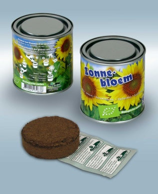 50x Zonnebloem Kweekset in Blik 250ML – Biologische Zaden – Complete DIY Set – Bulk Cadeau
