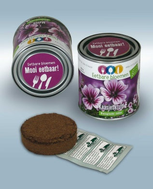 100x Eetbare Bloemen Kaasjeskruid (Mallow) BIOLOGISCH – Complete Kweekset in Blik – Inclusief Zaden & Kokosgrond