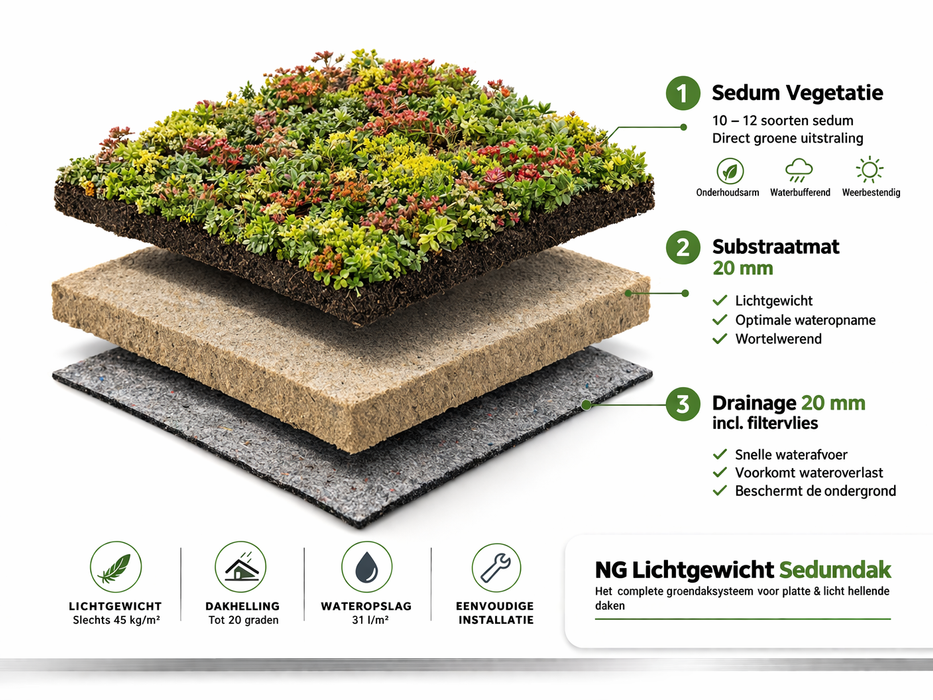 Leichtgewichtiger Sedumdach 10m² – Fertiges Gründach System für Flachdach – Sedum Dach Komplettpaket