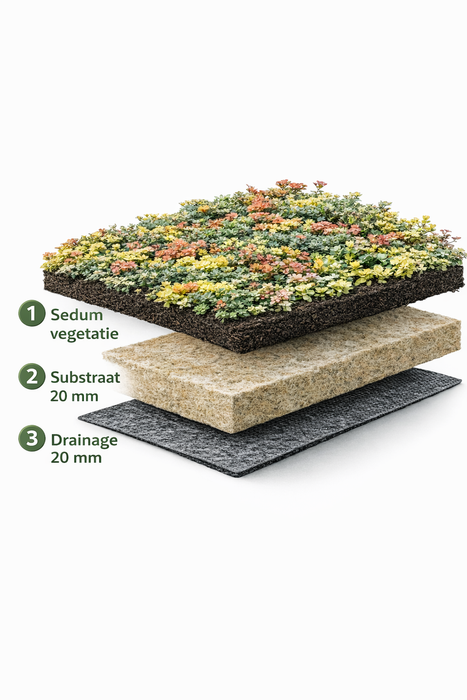Leichtgewichtiger Sedumdach 10m² – Fertiges Gründach System für Flachdach – Sedum Dach Komplettpaket