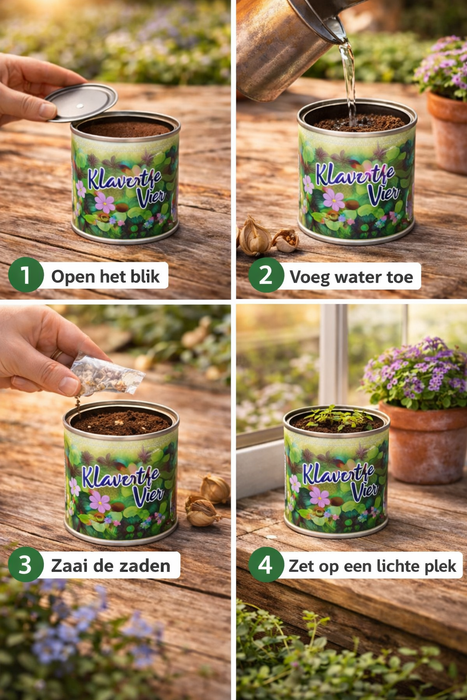 50x Klavertje Vier Kweekset in Blik – 250ML | Geluksplantje | Biologische Zaden | Cadeauset