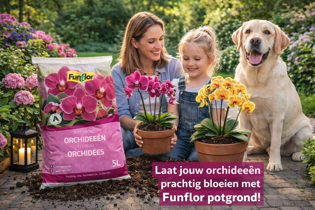Spezielles Orchideensubstrat 5 Liter – Stark, robust und wachstumsfördernd – Für drinnen und draußen