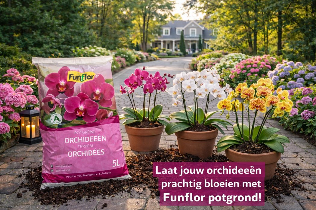Spezielles Orchideensubstrat 5 Liter – Stark, robust und wachstumsfördernd – Für drinnen und draußen
