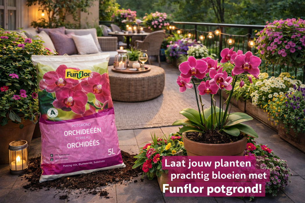 Spezielles Orchideensubstrat 5 Liter – Stark, robust und wachstumsfördernd – Für drinnen und draußen