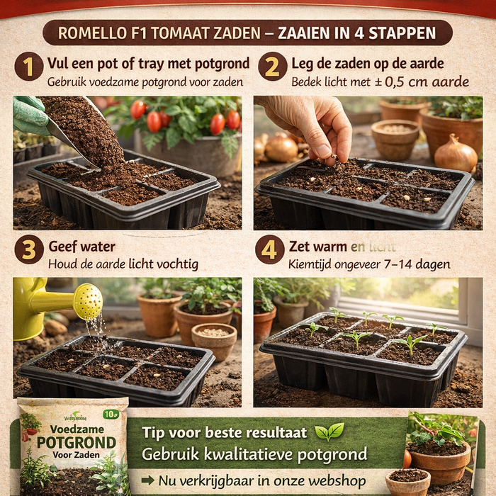 Tomaat Romello F1 | Compacte snoeptomaat voor potten en balkons | Rijkdragend & meeldauwresistent | Ideaal voor terras of stadstuin