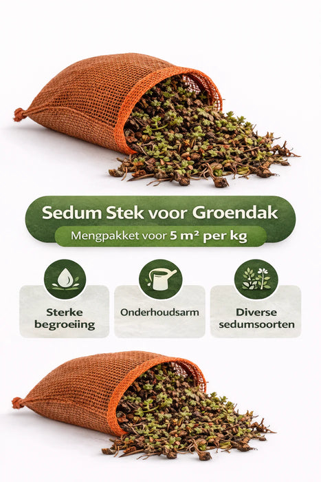 Sedum Stek voor Groendak 2 Kilogram – Mengpakket Sedum Stekken voor Dakbegroeiing / 2 KG