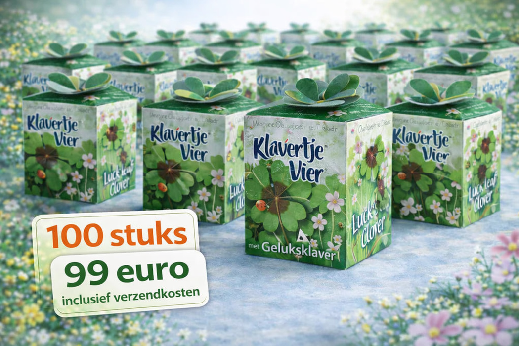 100 trèfles porte-bonheur (Oxalis) | 99 € frais de port inclus
