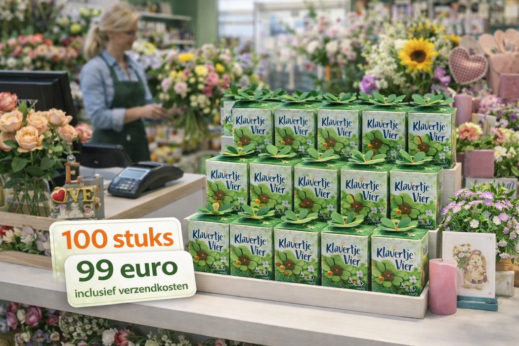 100 trèfles porte-bonheur (Oxalis) | 99 € frais de port inclus