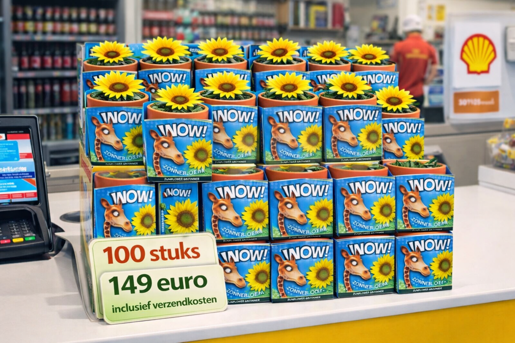 100 Sonnenblumenkerne im Terrakottatopf – Helianthus annuus | 149 € inklusive Versandkosten