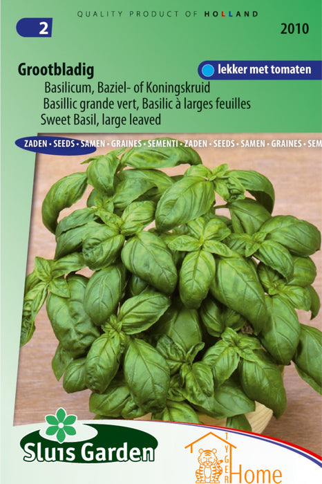 Grootbladig Basilicum Zaden: Kweek Heerlijke, Aromatische Basilicum met Grote, Geurige Bladeren en Intense Smaak voor Verse Salades en Mediterrane Gerechten