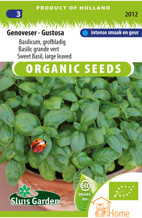 Genoveser Ustosa Basilicum Grofbladig Zaden: Kweek Heerlijke, Aromatische Basilicum - Grow Delicious, Aromatic Broad-Leaved Basil