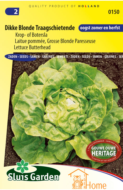 Dikke Blonde Traagschietende Krop- of Botersla Zaden voor het kweken van voedzame, heerlijke en knapperige sla in je eigen tuin. Perfect voor frisse salades en gezonde maaltijden, met een lange oogstperiode.