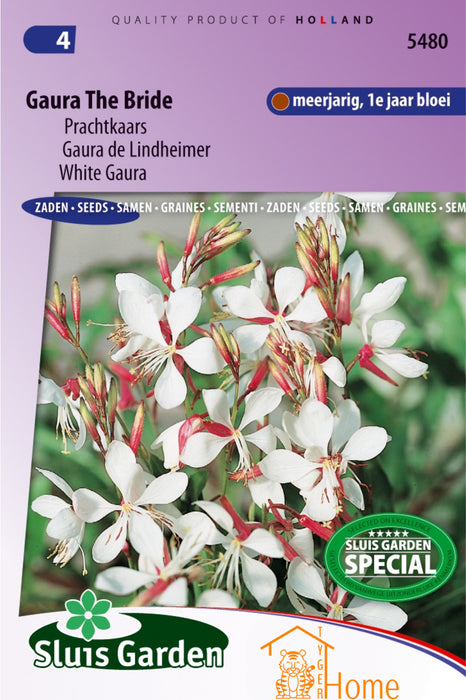 Gaura The Bride Zaden - Meerjarige Sierplant met Elegante Witte Bloemen