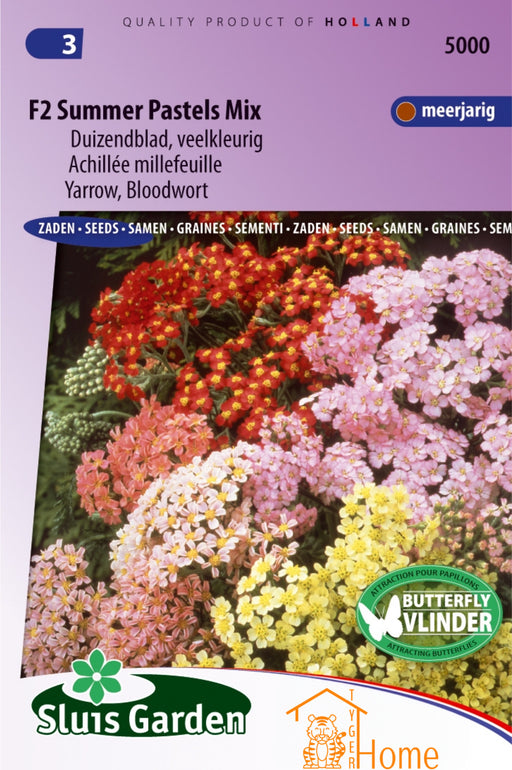 F2 Summer Pastels Mix Duizendblad Veelkleurig Zaden: Kweek Prachtige, Kleurrijke Duizendblad Bloemen - Grow Beautiful, Colorful Yarrow - Cultivez de l'Achillée Multicolore et Éclatante