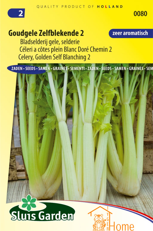 Goudgele Zelfblekende 2 Bladselderij Zaden van Sluis Garden voor het kweken van voedzame, heerlijke en zelfblekende selderij in je eigen tuin. Perfect voor frisse salades en smaakvolle gerechten."