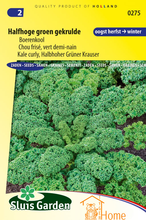 Halfhoge Groen Gekrulde Boerenkool Zaden: Kweek je eigen voedzame en knapperige boerenkool. Perfect voor gezonde gerechten vol smaak en vitaminen