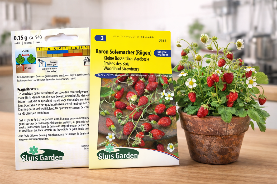 Baron Solemacher Rugen – Zaden voor Kleine, Heerlijke en Aromatische Bosaardbeien