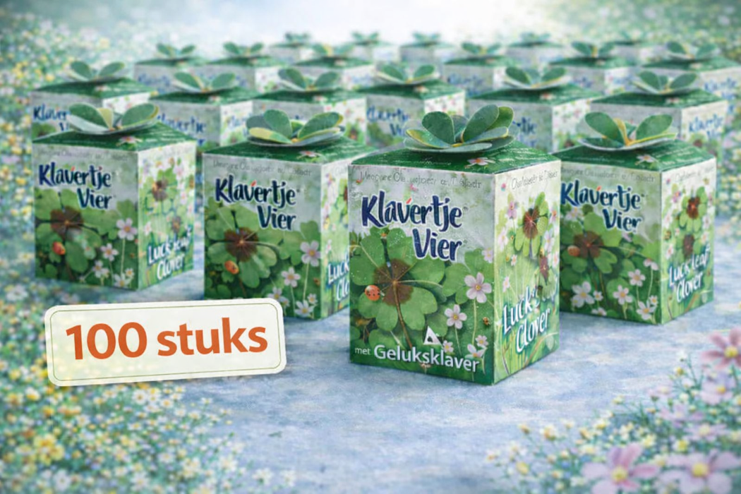 100 trèfles porte-bonheur (Oxalis) | 99 € frais de port inclus