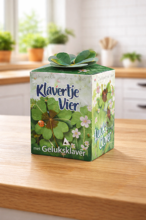 100 trèfles porte-bonheur (Oxalis) | 99 € frais de port inclus