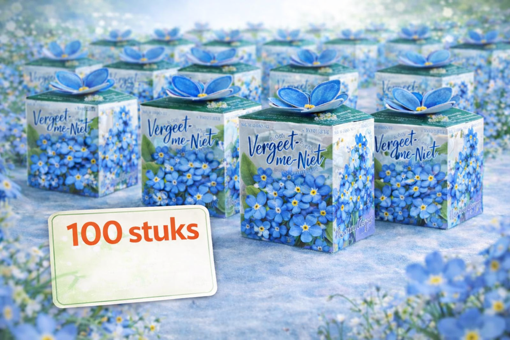 100 graines de myosotis (Forget-me-Me-Myosotis) | 99 € frais de port inclus