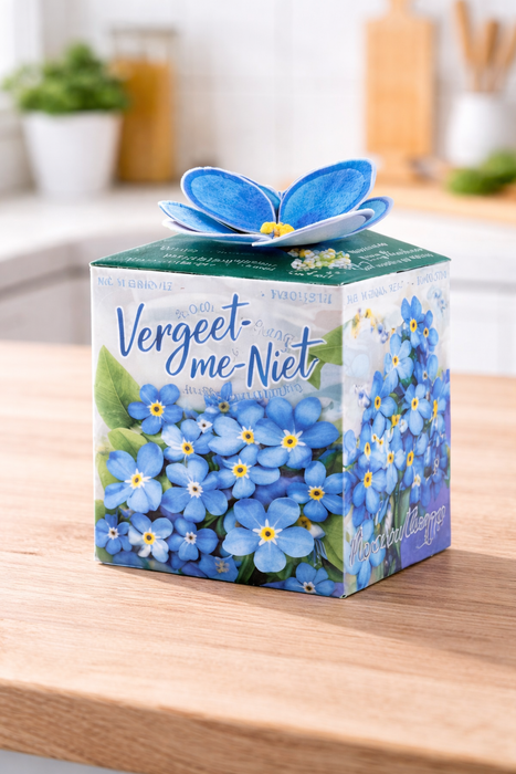 100 graines de myosotis (Forget-me-Me-Myosotis) | 99 € frais de port inclus