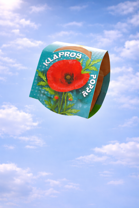 100 stuks Klaproos – Poppy in terracotta pot | €149 incl. verzendkosten
