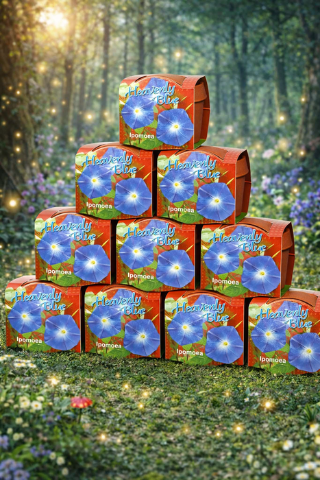 100 stuks Heavenly Blue – Ipomoea in terracotta pot | €149 incl. verzendkosten