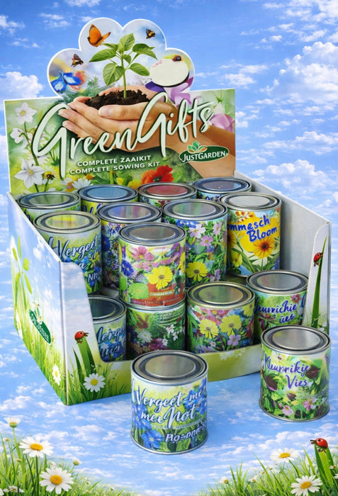 GreenGifts Blumen-Anzuchtset Display 48 Stück – Wiederverkaufsprodukt