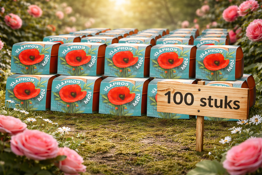 100 stuks Klaproos – Poppy in terracotta pot | €149 incl. verzendkosten