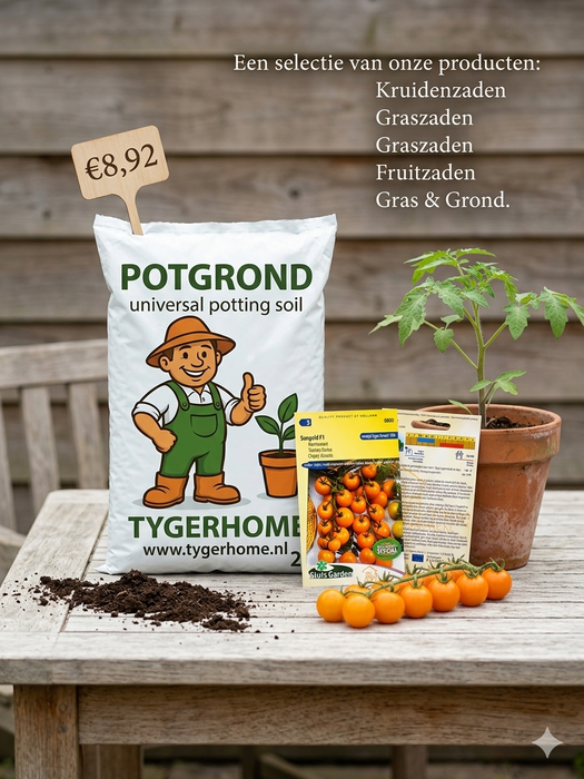 Sungold F1 Kerstomaat Zaden: Kweek Heerlijke, Zoete Gouden Kerstomaten met Sappige Textuur en Intense Smaak, Perfect voor Salades, Snacks en Mediterrane Gerechten