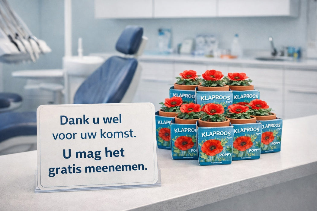100 stuks Klaproos – Poppy in terracotta pot | €149 incl. verzendkosten