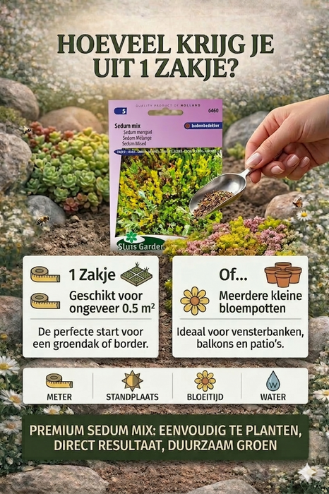 50 X stuks Sedum mix | Sierlijke bodembedekker | Vetplanten mengsel voor tuin of dak | Winterhard vaste plant zaden (kopie)
