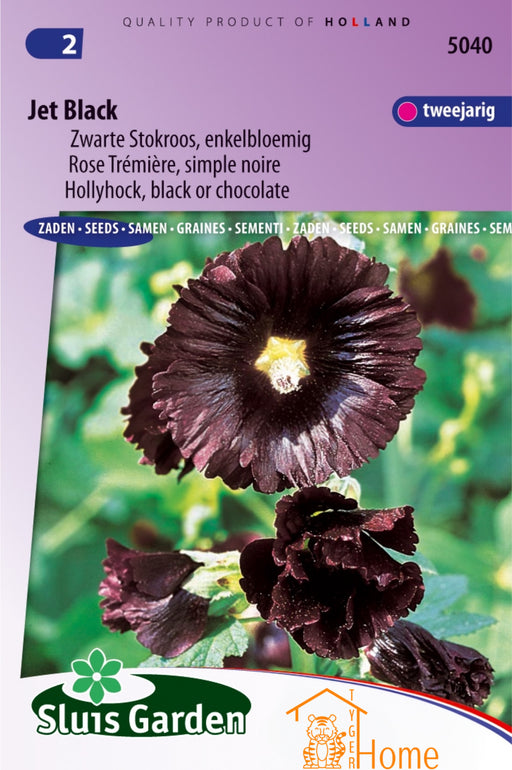 Jet Black Zwart Stokroos Enkelbloemig Zaden: Kweek prachtige, diepzwarte enkelbloemige stokrozen in je tuin. Grow stunning, deep black single hollyhocks for a dramatic garden display. Cultivez de magnifiques roses trémières noires simples pour un jardin saisissant