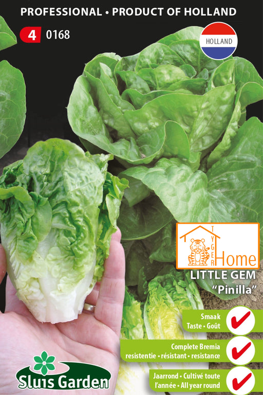 Little Gem Pinilla Zaden voor het kweken van voedzame, heerlijke en knapperige mini-Romaanse sla in je eigen tuin. Perfect voor frisse salades en gezonde maaltijden