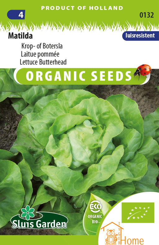 Matilda Krop- of Botersla Zaden voor het kweken van voedzame, heerlijke en knapperige sla in je eigen tuin. Perfect voor frisse salades en gezonde gerechten met een zachte, boterachtige textuur.