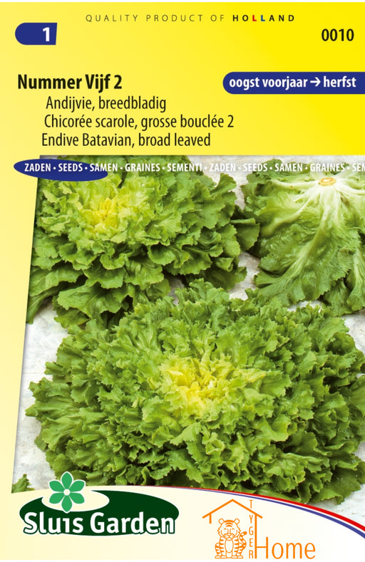 Nummer Vijf 2 Andijvie Breedbladig Zaden voor het kweken van voedzame, heerlijke en knapperige andijvie in je eigen tuin. Perfect voor verse salades en gezonde gerechten.
