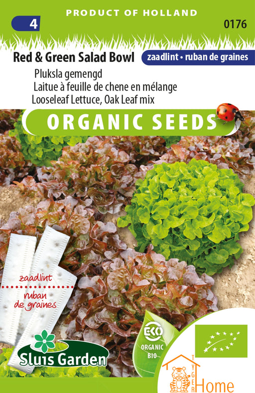 Red & Green Salad Bowl Pluksla Gemengd Zaden voor het kweken van zowel rode als groene, voedzame en heerlijke pluksla. Ideaal voor een knapperige en frisse oogst in je eigen tuin, perfect voor kleurrijke en gezonde salades.