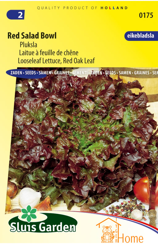 Red Salad Bowl Pluksla Zaden voor het kweken van voedzame, heerlijke en knapperige rode pluksla in je eigen tuin. Perfect voor een frisse en kleurrijke oogst, ideaal voor gezonde salades en maaltijden.