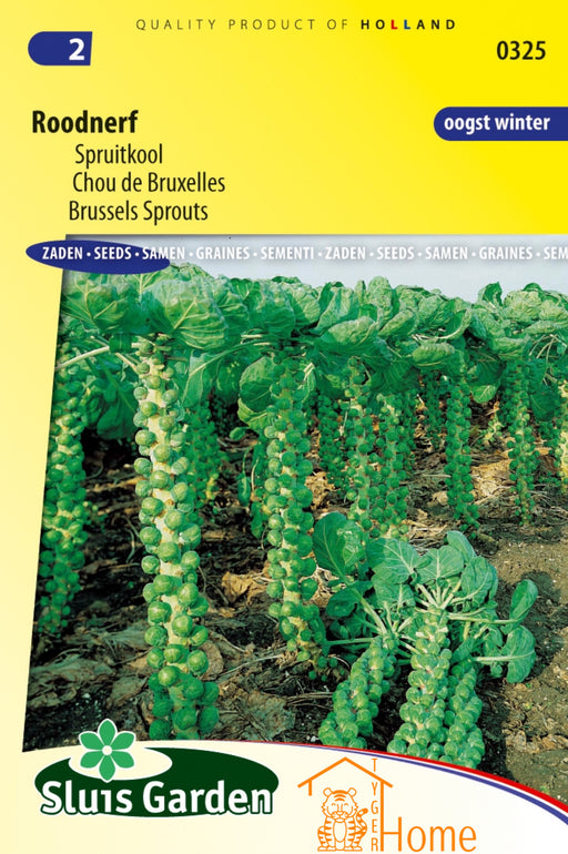 Roodnerf Spruitkool Zaden: Kweek voedzame, heerlijke en knapperige spruiten met opvallende rode nervenkleuring. Perfect voor unieke en smaakvolle gerechten.