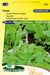 Rucola - Fresh Rocket-Salad Garden Rocket Eruca Sativa Pronto: Kweek je eigen pittige en voedzame raketsla voor frisse salades en smaakvolle gerechten.