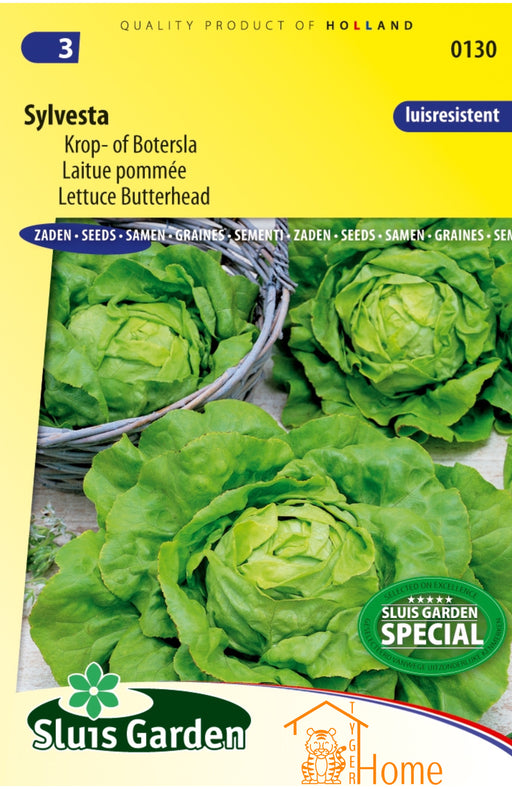 Sylvesta Krop- of Botersla Zaden voor het kweken van voedzame, heerlijke en knapperige sla in je eigen tuin. Ideaal voor verse salades en gezonde maaltijden met een zachte, boterachtige smaak.
