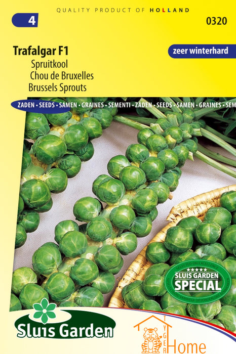 Trafalgar F1 Spruitkool Zaden: Kweek je eigen heerlijke en voedzame spruitjes. Deze spruitjes zijn perfect voor een rijke, gezonde oogst vol smaak.